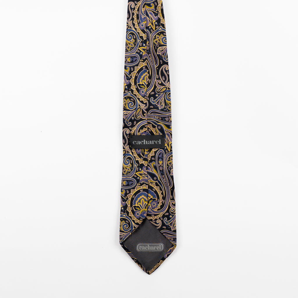 Cravatta Vintage fantasia Paisley