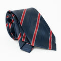 CLASSIC TIE01 - Ties - Difference